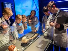 BODY WORLDS we Wrocławiu – fascynująca wystawa o życiu i zdrowiu. Tylko do 11.08!