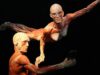 BODY WORLDS we Wrocławiu – fascynująca wystawa o życiu i zdrowiu. Tylko do 11.08!
