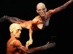 BODY WORLDS we Wrocławiu – fascynująca wystawa o życiu i zdrowiu. Tylko do 11.08!
