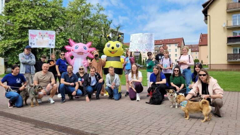 Zatańczyli dla podopiecznych świdnickiego schroniska dla zwierząt i zachęcali do adopcji [FOTO]