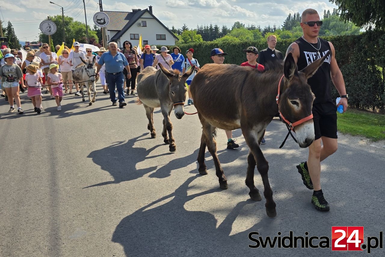Szlakiem „Pani w Słońcu”. Wyjątkowa pielgrzymka z udziałem osiołków [FOTO]