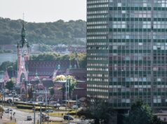 Biznes w trasie. Jak działa obsługa floty samochodowej?