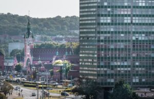 Biznes w trasie. Jak działa obsługa floty samochodowej?