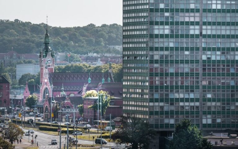Biznes w trasie. Jak działa obsługa floty samochodowej?