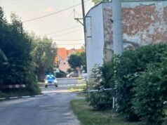 Pociski moździerzowe w gogołowskim stawie