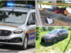 Kolczasty intruz, miłośnicy trunków pod chmurką, problemy z bezdomnymi. Interwencje straży miejskiej