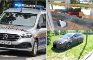 Kolczasty intruz, miłośnicy trunków pod chmurką, problemy z bezdomnymi. Interwencje straży miejskiej