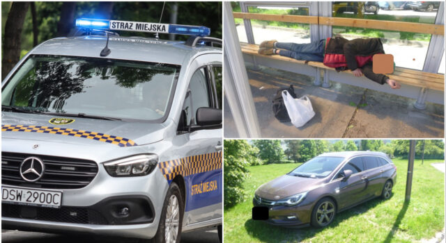 Kolczasty intruz, miłośnicy trunków pod chmurką, problemy z bezdomnymi. Interwencje straży miejskiej