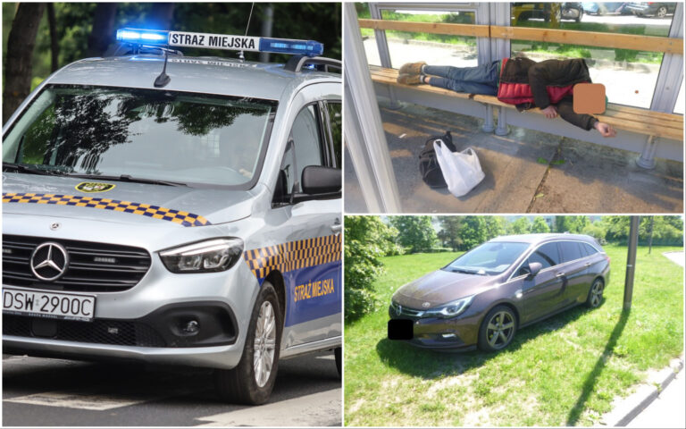 Kolczasty intruz, miłośnicy trunków pod chmurką, problemy z bezdomnymi. Interwencje straży miejskiej