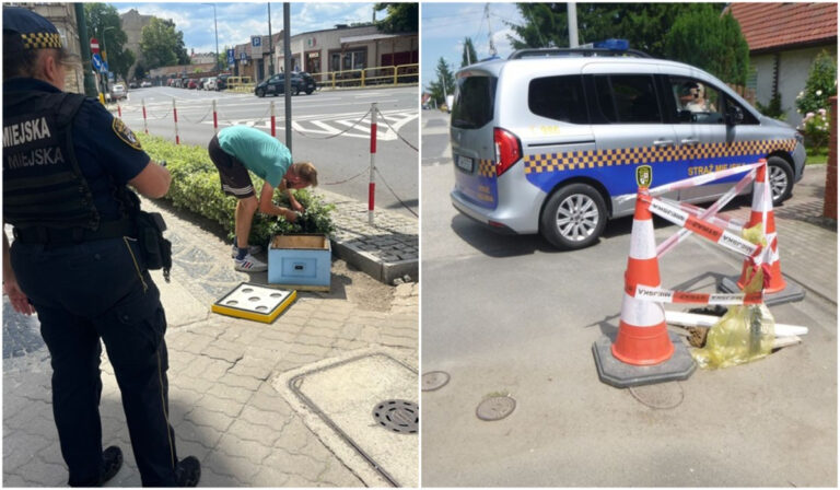Mieszkańcy skarżący się na chemiczny zapach, zwierzęta wymagające pomocy, usuwanie wraków. Interwencje straży miejskiej