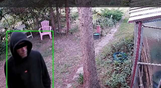 Nocni intruzi na ogródkach działkowych. Monitoring zarejestrował nieproszonego gościa
