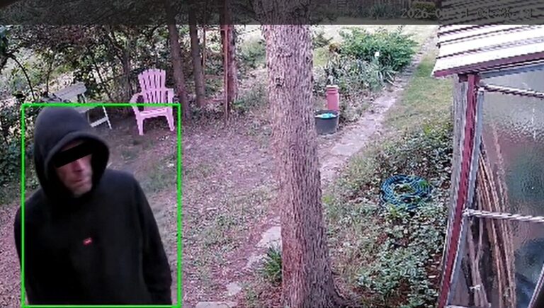 Nocni intruzi na ogródkach działkowych. Monitoring zarejestrował nieproszonego gościa