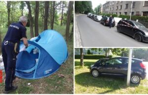 Pogryzione dziecko, amator kwiatów z klombu. Interwencje straży miejskiej