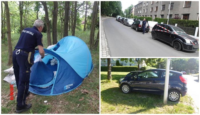 Pogryzione dziecko, amator kwiatów z klombu. Interwencje straży miejskiej