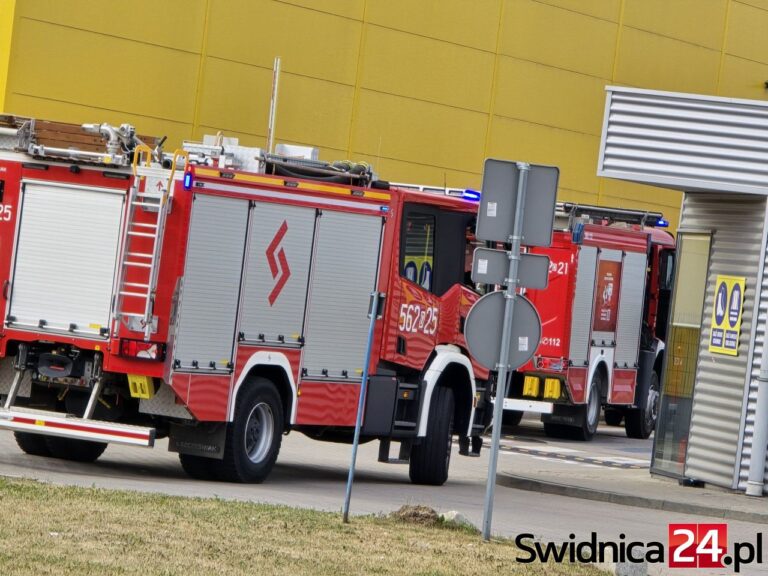Akcja strażaków w zakładzie produkującym pieczywo m.in. dla sieci McDonald’s [FOTO]