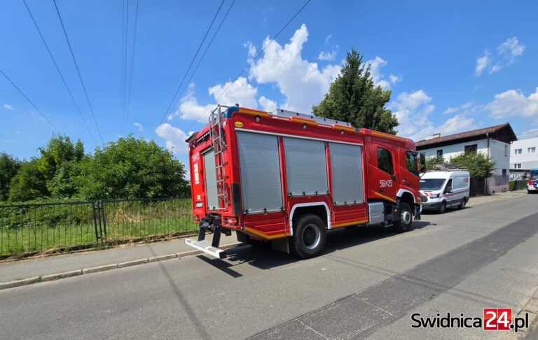 Strażacy i energetycy interweniowali przy Kliczkowskiej [FOTO]