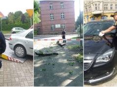 Picie „pod chmurką”, nieprawidłowe parkowanie, pies bez nadzoru. Interwencje straży miejskiej