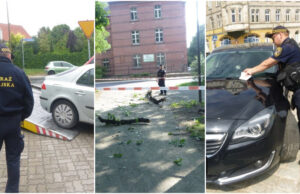 Picie „pod chmurką”, nieprawidłowe parkowanie, pies bez nadzoru. Interwencje straży miejskiej