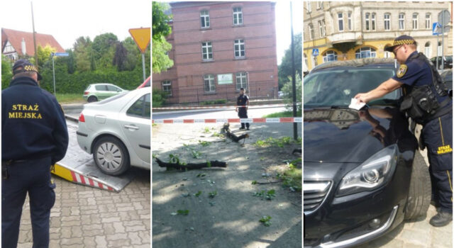 Picie „pod chmurką”, nieprawidłowe parkowanie, pies bez nadzoru. Interwencje straży miejskiej