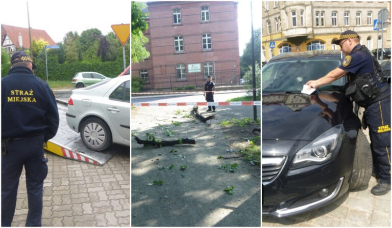 Picie „pod chmurką”, nieprawidłowe parkowanie, pies bez nadzoru. Interwencje straży miejskiej