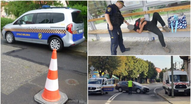 Mężczyzna wyrywający kwiaty, zbłąkana kobieta, picie „pod chmurką”. Interwencje straży miejskiej