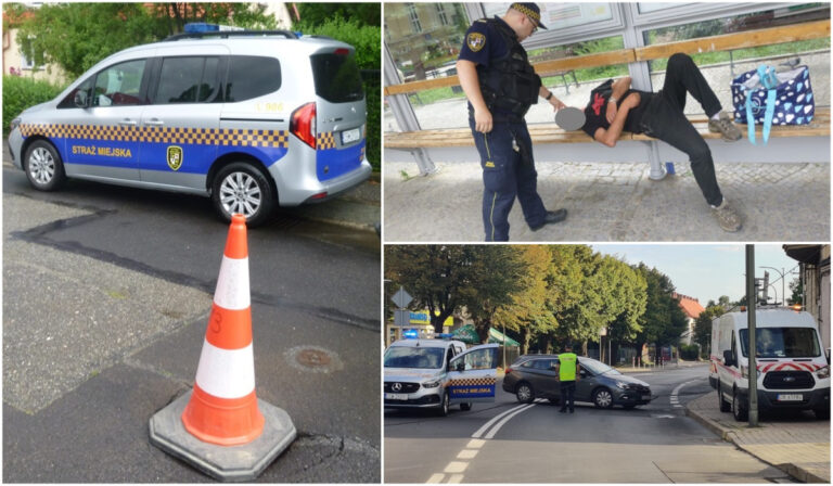Mężczyzna wyrywający kwiaty, zbłąkana kobieta, picie „pod chmurką”. Interwencje straży miejskiej