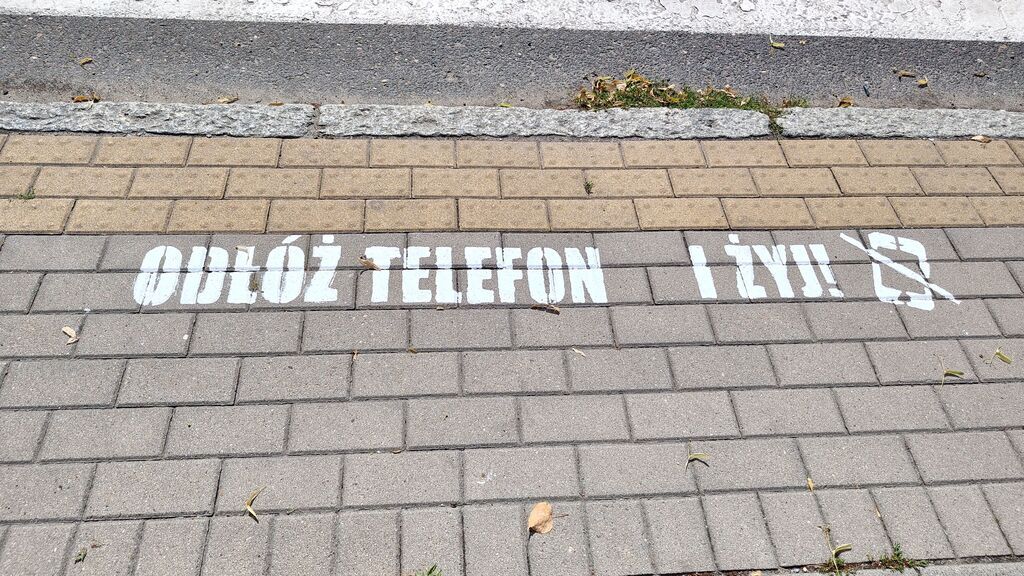 Odłóż telefon i… żyj! Napisy przed przejściami dla pieszych [FOTO]