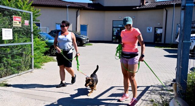 Dzień wielkich serc w schronisku w Świdnicy 15.08 (29) Dzień wielkich serc w schronisku w Świdnicy 15.08 (29)