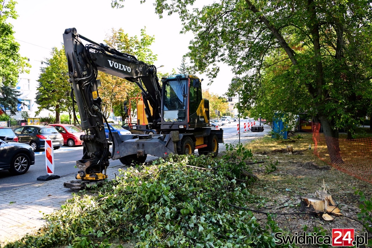 Trwa budowa nowych parkingów na terenie miasta. W ramach prac przewidziano wycinkę zieleni [FOTO]