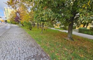 Ponad 40 miejsc parkingowych ma powstać na ul. Marcinkowskiego
