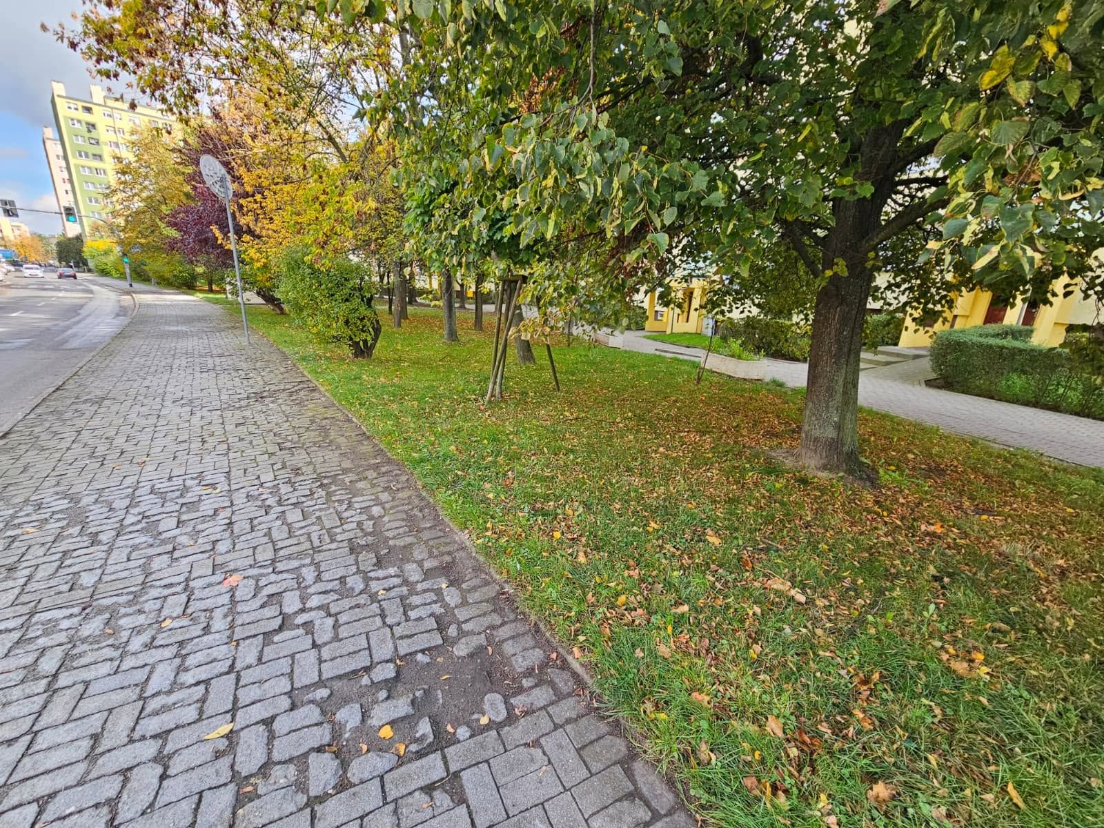Ponad 40 miejsc parkingowych ma powstać na ul. Marcinkowskiego