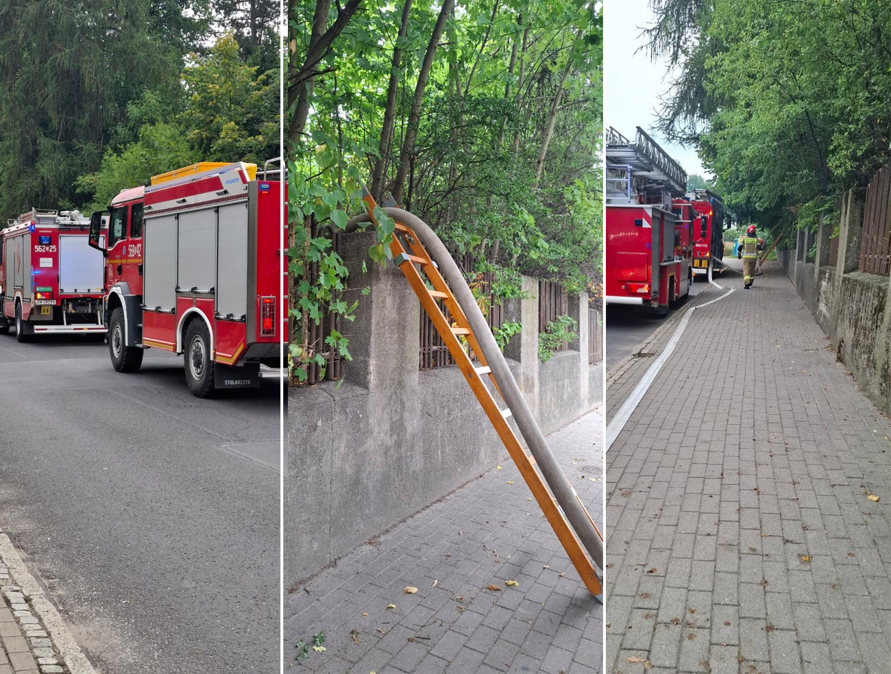 Pożar pustostanu w Świebodzicach. Na miejscu cztery zastępy straży pożarnej [FOTO]