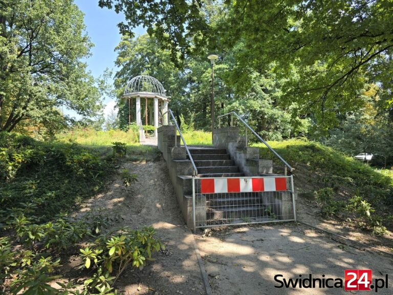 Znikająca w chwastach ozdoba Parku Centralnego. Co dalej z gloriettą? [FOTO]