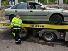 Zaginiony pies w kwiaciarni, auto zaparkowane na skrzyżowaniu, areszt dla uciążliwego bezdomnego. Interwencje straży miejskiej