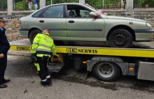 Zaginiony pies w kwiaciarni, auto zaparkowane na skrzyżowaniu, areszt dla uciążliwego bezdomnego. Interwencje straży miejskiej