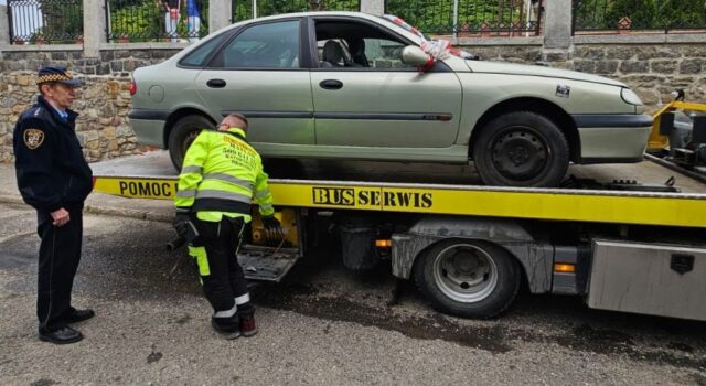 Zaginiony pies w kwiaciarni, auto zaparkowane na skrzyżowaniu, areszt dla uciążliwego bezdomnego. Interwencje straży miejskiej