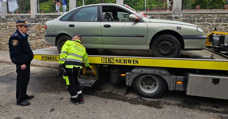 Zaginiony pies w kwiaciarni, auto zaparkowane na skrzyżowaniu, areszt dla uciążliwego bezdomnego. Interwencje straży miejskiej