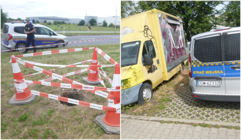Miłośnicy trunków pod chmurką, przewrócone gazony z kwiatami, niesprzątanie po psie. Interwencje straży miejskiej