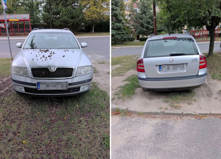 Mistrzowie parkowania [FOTO]