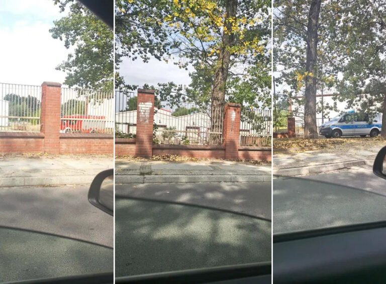 Interwencja strażaków przy ulicy Wałbrzyskiej w Strzegomiu [FOTO]