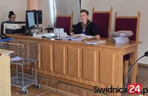 3 lata bezwzględnego więzienia dla Piotra S. Zabił amstaffa nożem i wrzucił do stawu