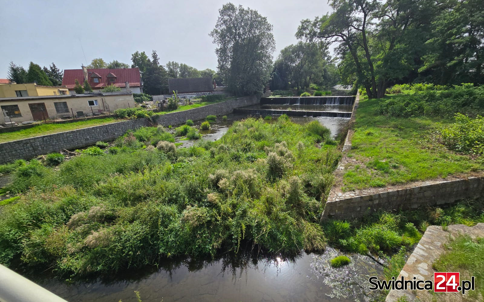 Bystrzyca znów zaczęła znikać w zaroślach. „Prace porządkowe już trwają” [FOTO]