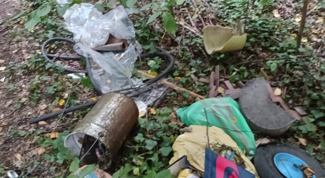 Pobojowisko na leśnej ścieżce i półtorej godziny czekania. Śmieciarz wyrzucił odpady, policja szuka sprawcy