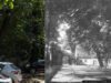 Świdnica wczoraj i dziś. Plac Pokoju