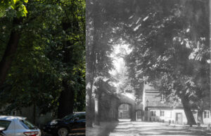 Świdnica wczoraj i dziś. Plac Pokoju