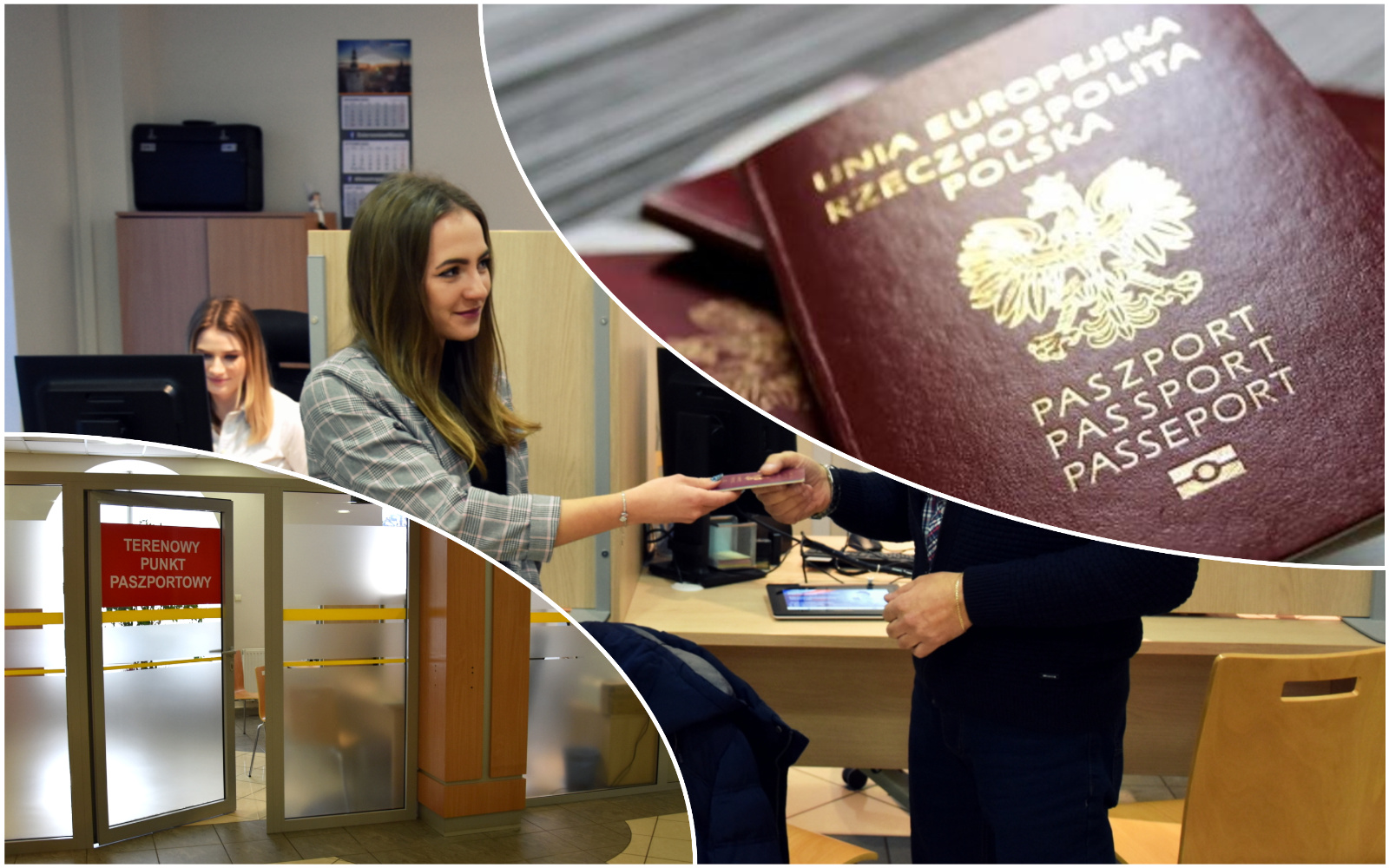 Sprawy paszportowe będzie można załatwić w Świdnicy? Wraca pomysł utworzenia punktu terenowego