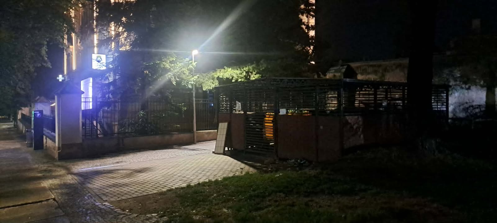 Gromada szczurów w zabytkowym centrum Świdnicy, obok ośrodka zdrowia i skweru [VIDEO]