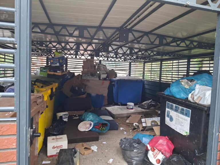 Centrum Świdnicy: Bezdomny, śmieci i szczury w porzuconym (?) boksie śmietnikowym [FOTO/VIDEO]