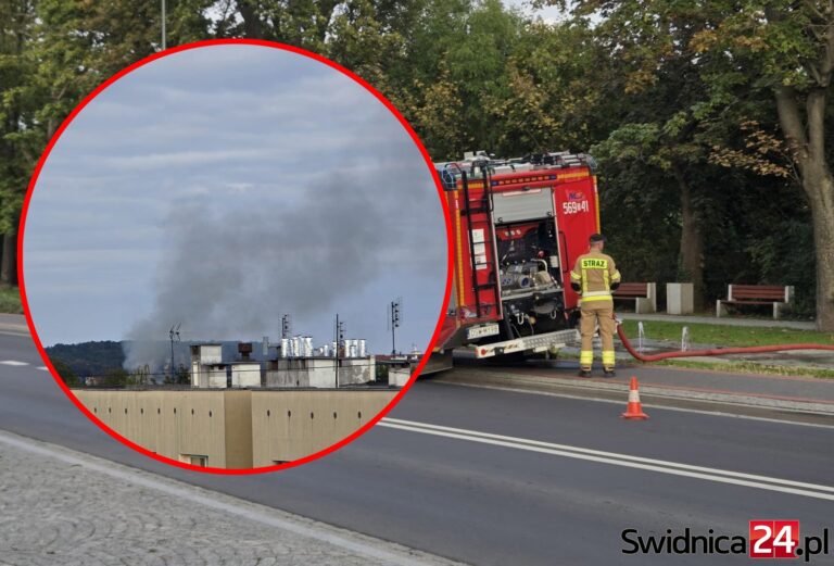 Wieczorna interwencja strażaków przy Alei Wojska Polskiego w Strzegomiu [FOTO]