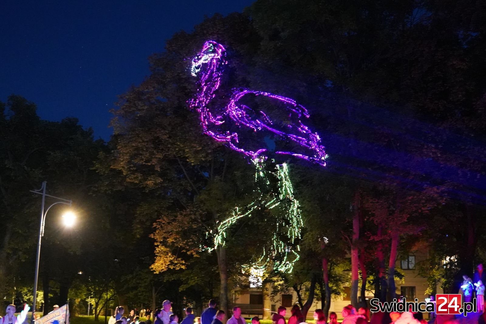 Światła, lasery i mnóstwo uśmiechów! Festiwal „Światło i dźwięk” w Strzegomiu [FOTO]
